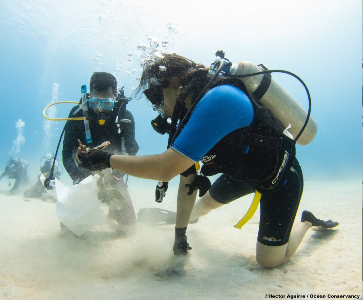 OurOcean's tweet photo. Scientific integrity is vital for our ability to tackle the health, safety, and environmental issues communities across the country are facing. Thank you @RepPaulTonko for your work in passing the #ScientificIntegrityAct through the House! https://t.co/nVvGhBRc7D