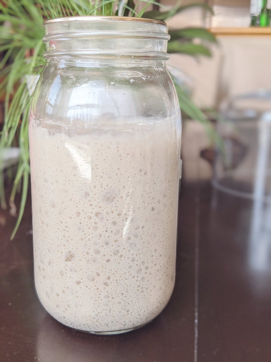 lien_10's tweet photo. Obsessed with my sourdough starter and making everything sourdough #soproudofthisstarter #LifesSimpleIngredient #Quarantine #sourdough #sourdoughstarter #stayhome #bakingalldaylong #yycliving #yycbaking #CdnWheat #EatWheat #ABwheat #COVIDbaking #baking https://t.co/ZPVMTpHGfw