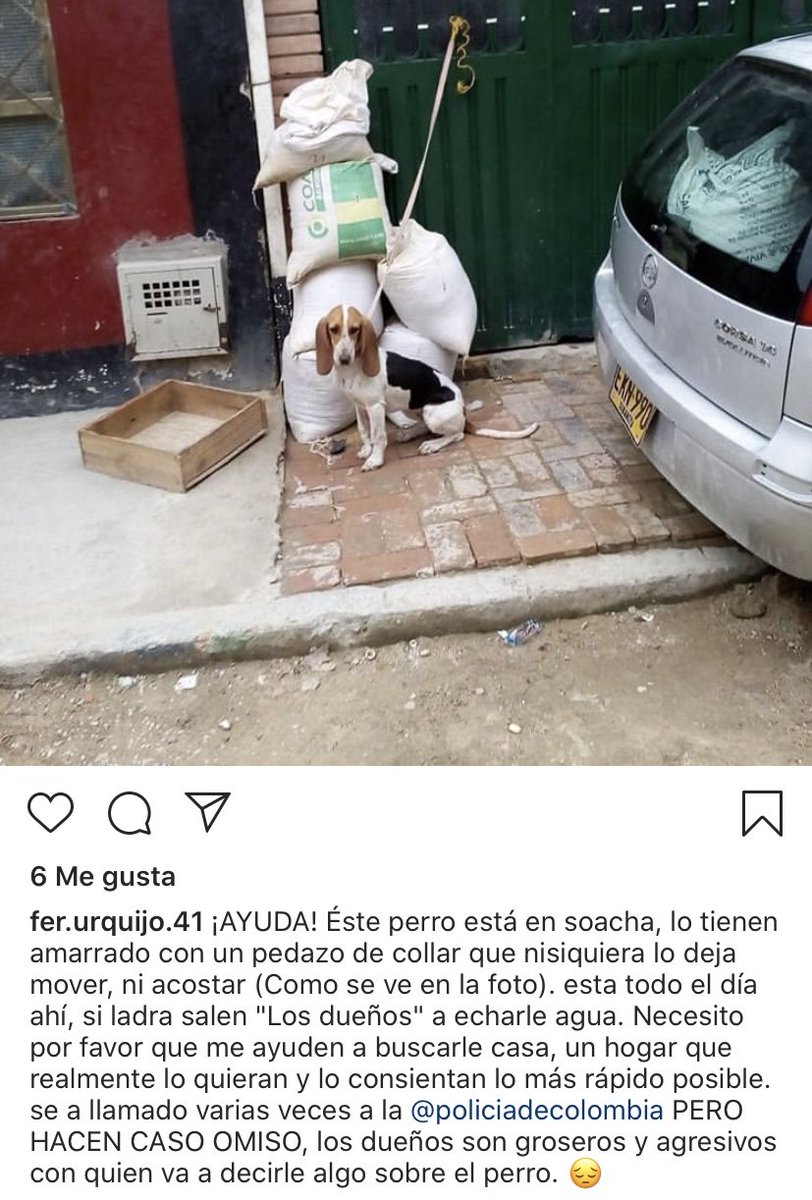 Laura Neira tweet media