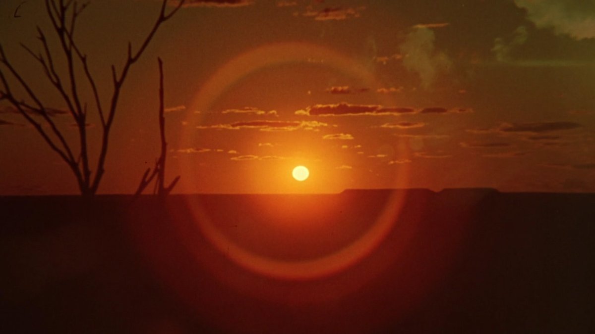 FOURfpf's tweet photo. WALKABOUT
(Nicolas Roeg, 1971)
#Australia #Outback #Walkabout #70sCinema #ClassicFilm #FourFPF #4fpf #MovieMoments #Aborigine #RiteOfPassage #MagicImagery #Surrealism #Criterion https://t.co/ZWv5NYOMKW