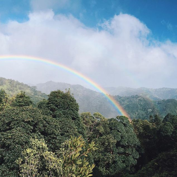 eight50HI's tweet photo. The greater the storm, the brighter the rainbow. π Something to keep in mind during these uncertain times. π
#eight50 #PearlCityHI https://t.co/W6joy1ybeE