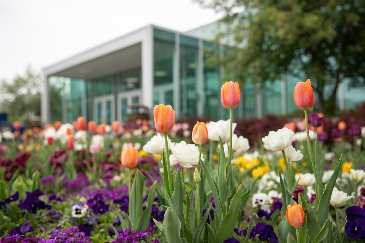 UniverseBYU's tweet photo. BYU releasing COVID-19 relief funds to students https://t.co/22vcT2EUUH https://t.co/Ty8AJSdgqo