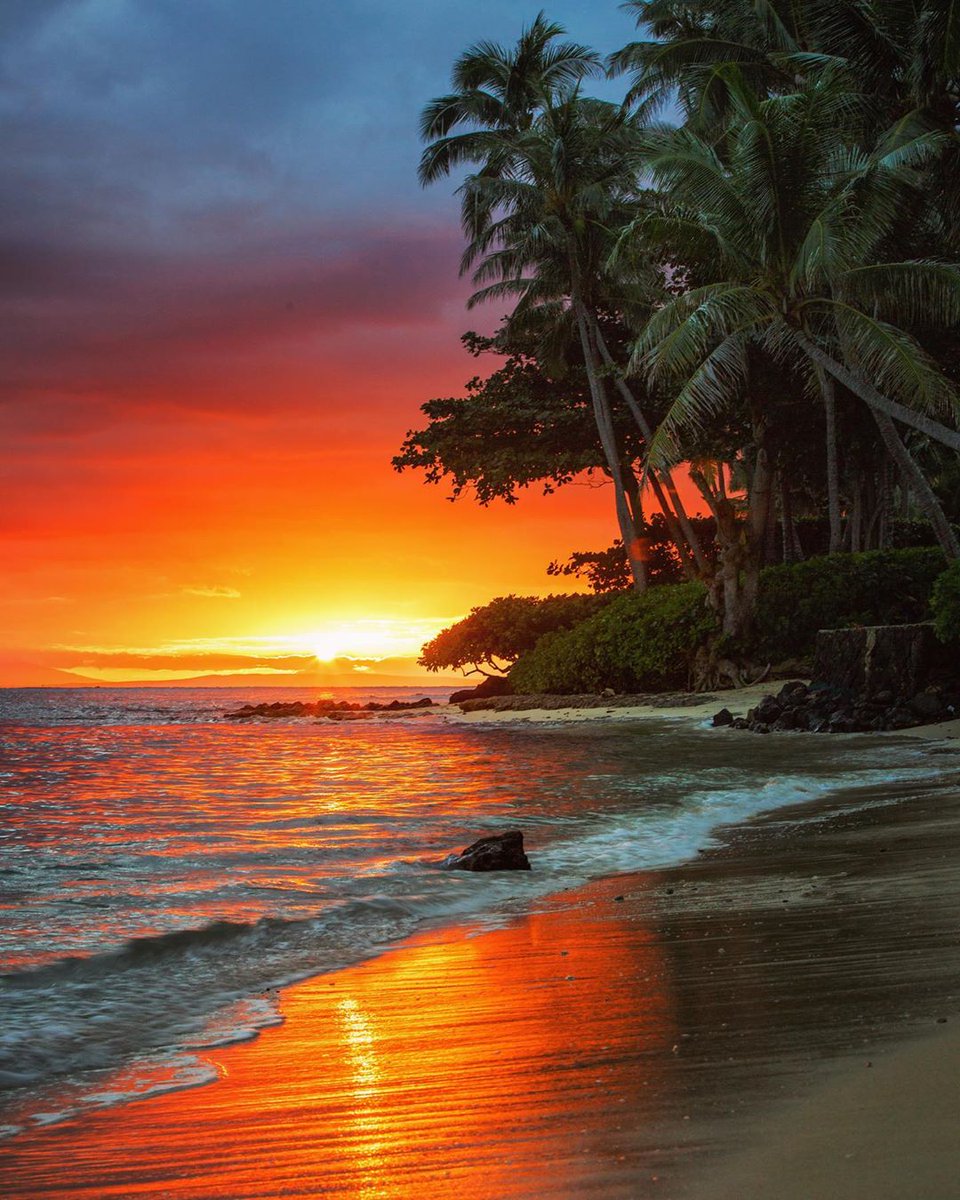 HerringboneWK's tweet photo. We ❤️ #Honolulu! (and all of Hawaii, for that matter). Lulu's Lei + Bouquets and LeiAloha Wedding &amp; Event Planners are two local businesses that we love and encourage you to check out! What local business is your favorite? Let us know!
📸: kurtstevensphotography on IG https://t.co/Ps2LKJot4a