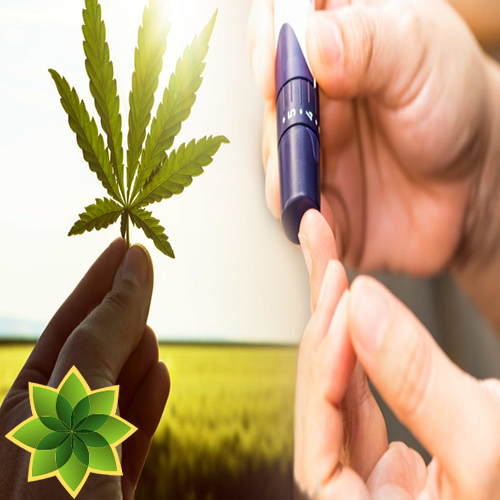 CannabiMedia's tweet photo. Un estudio de 2013 publicado en el American Journal of Medicine encontró que los consumidores de cannabis tenían niveles de insulina en ayunas un 16 por ciento más bajos que los no consumidores.
¿Quieres saber mas?
👇👇👇
https://t.co/J0ExcztZ8u https://t.co/Z2XOsnWLD2