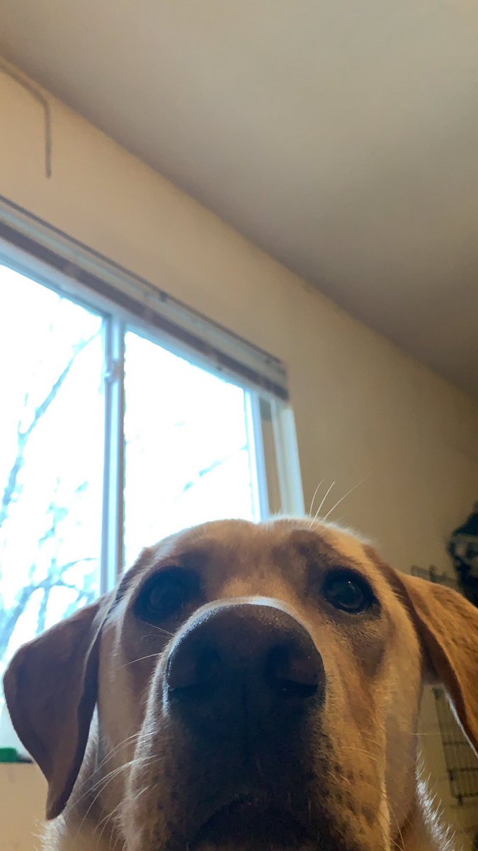 wait_kaylee's tweet photo. Open for a surprise (: https://t.co/VgcWALsP7k