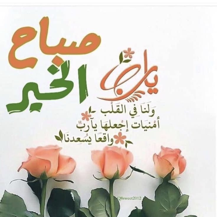 𝗙 𝗮 𝗶 𝘀 𝗮 𝗹 .. (@fii9al3) on Twitter photo 