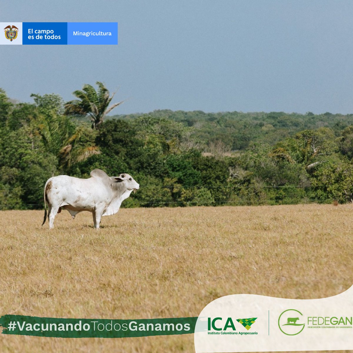 Min. de Agricultura tweet media
