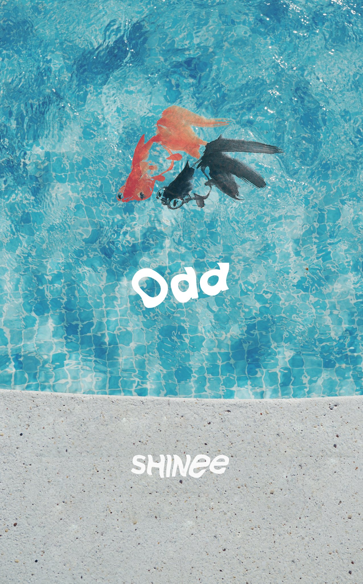 Zuqaa Hamed Shinee Odd Zuqaa Hamed Shinee Odd