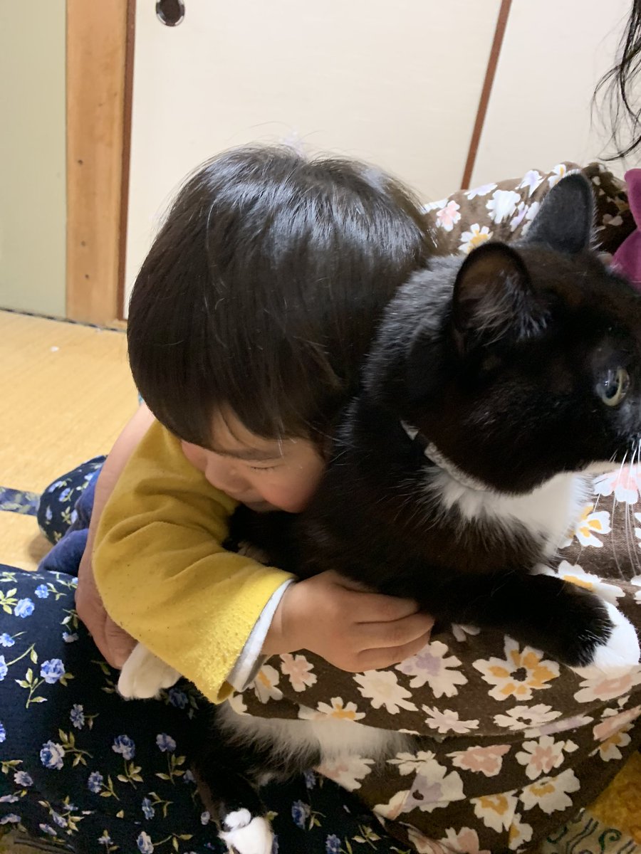 Tanqueray1017's tweet photo. 近頃、息子もモフモフのやり方を心得たみたいです。
蔵之介（猫）は諦めたのかな？
ゴロゴロは言ってるけど😊 https://t.co/ldryDt51Yq