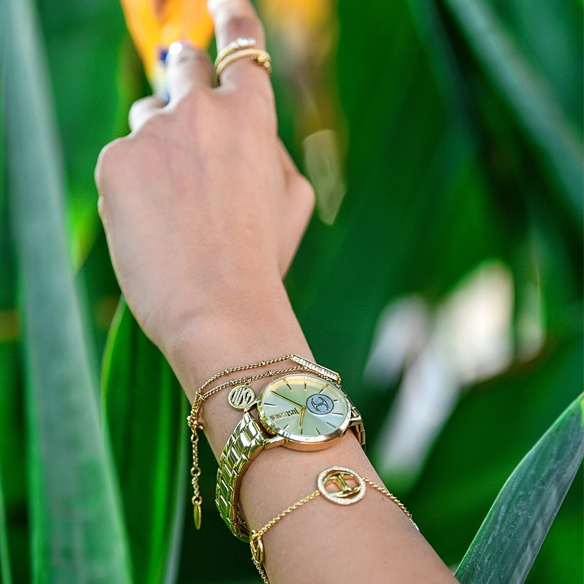 alhomaidhigroup's tweet photo. Keep track of the little moments that
matter. Details make the difference and
Just Cavalli masters this rule. Check on
the new collection. #alhomaidhigroup #justcavalli
#jcmoments #jccollection #justgold #justcavalliwatchwear #jctimepiece #justcavalliexclusive #jctimewear https://t.co/BKPZSBr6ZU
