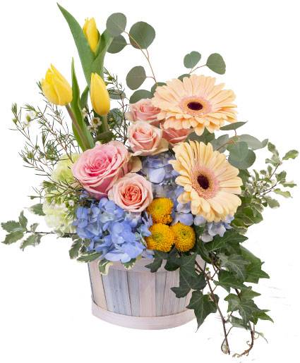 Spring is here and we're open tomorrow to bring the colours and smells of the season into your home! Order online now for delivery tomorrow!
cameronsflowershop.com/product/ba0731…
#mondaymotivation #spring