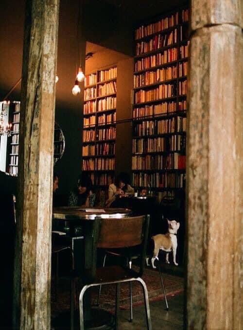 Gli scrittori mi hanno salvato la vita, anche se si sono sparati in bocca, si sono impiccati, sono stati in manicomio, dormivano in una roulotte, o da bambini avevano paura di svegliarsi trasformati in scarafaggi.