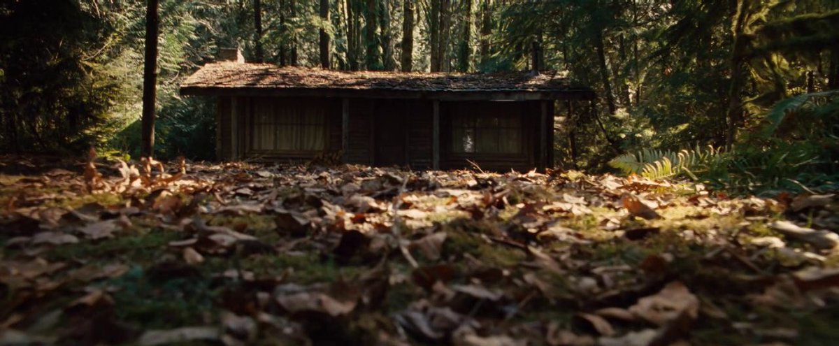 the cabin in the woods (2012)★★½directed by drew goddardcinematography by peter deming