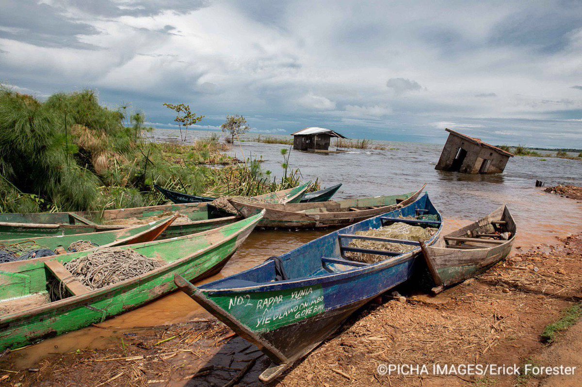 Picha_Images's tweet photo. By @erickforester Usenge town, Siaya county: where the ongoing heavy rainfalls has resulted to more water capacity than the lake can hold.
#2020 #rainfall #flooding #calamities #photojournalism
#StockPhotography #PhotoJournalism #PichaImages
#AfricanImages #BestPictures #Kenya https://t.co/adEU0AvHzm