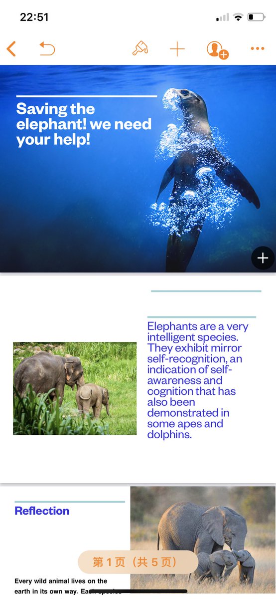 DavidHu29052963's tweet photo. This is my infographics #39canimals https://t.co/Xhk1uwjfZG
