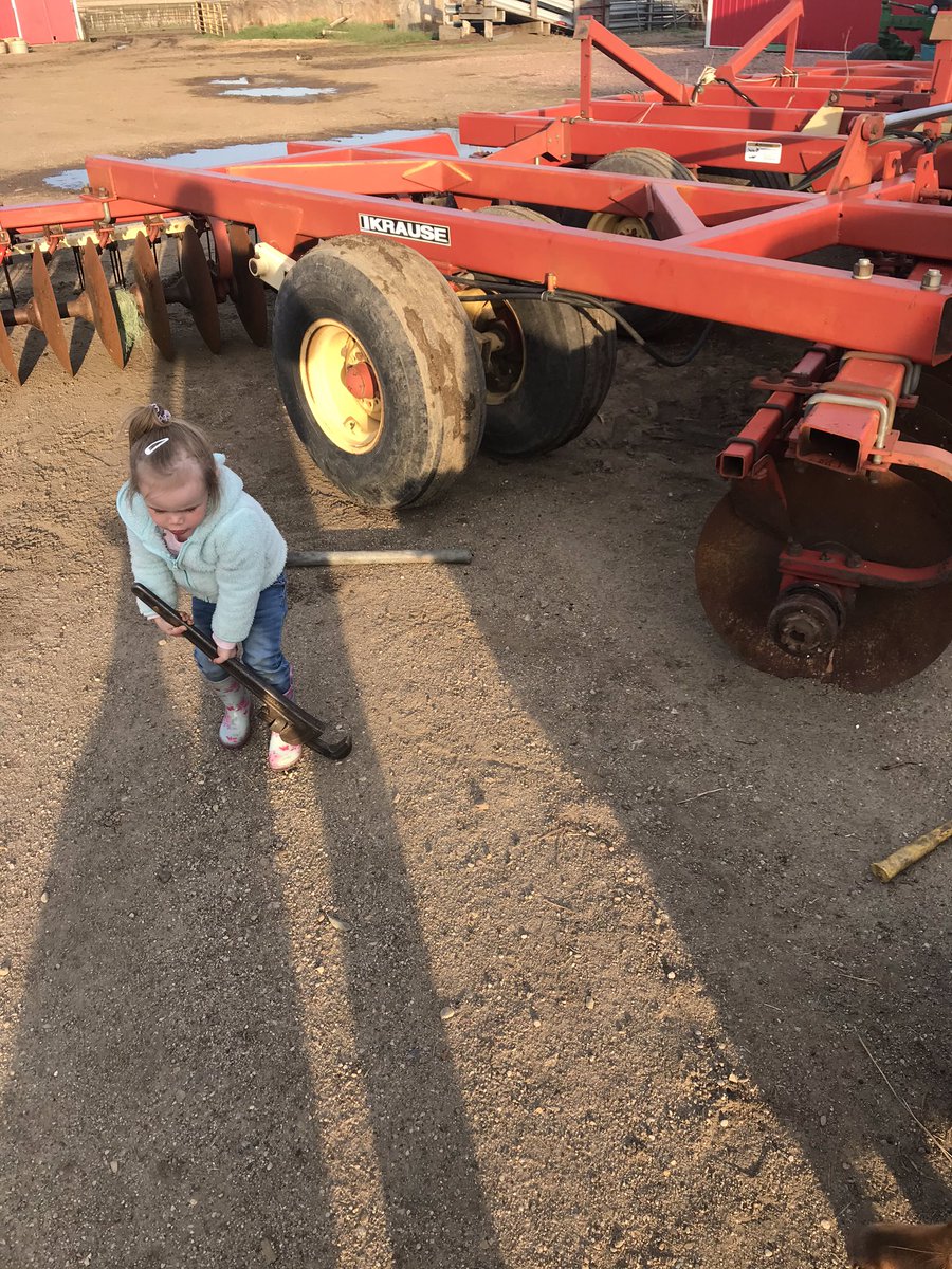 silagechopper's tweet photo. Just helping dad...#KooperSkip https://t.co/xQ8YszokX1