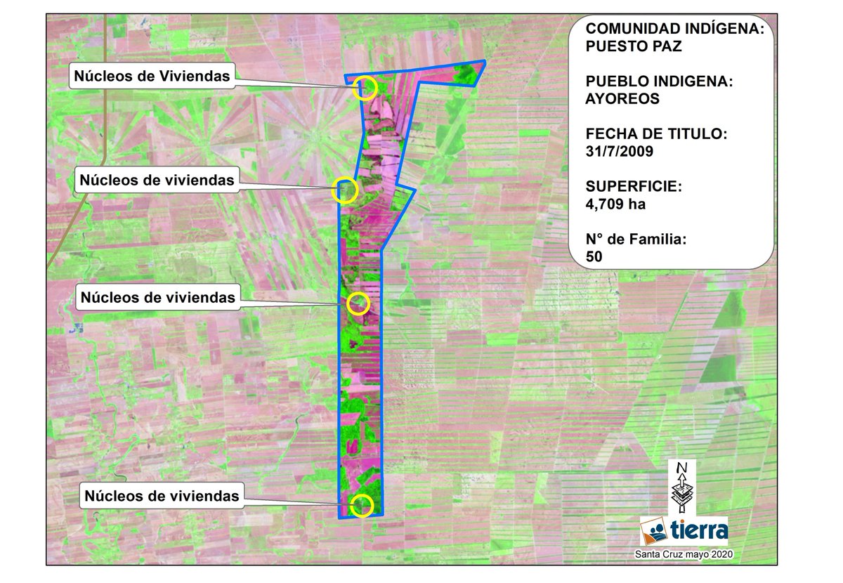 ColqueG's tweet image. Hoy, la #CAO prometió prosperidad a los indígenas de la #CIDOB. Pero la realidad es otra. Esta es la Comunidad Nuevo Paz de ayoreos. Un territorio indígena, titulado; hoy rodeado y atestado por soya trasngénica. 

—El futuro que prometen tiene nombre: Despojo y robo de la tierra