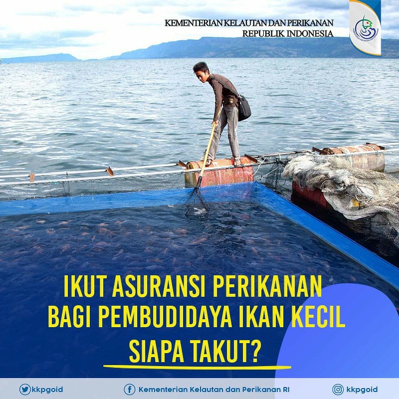 kkpgoid's tweet photo. Semangat pagi #SahabatBahari, buat yang tertarik untuk mengikuti  asuransi perikanan bagi pembudidaya ikan kecil (APPIK), yuk simak syarat dan informasinya melalui infografis di atas. Jangan sampai ketinggalan ya.

#kkp #kkpgoid https://t.co/QkLLkVkWpg