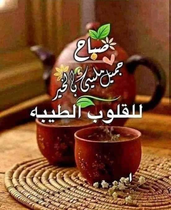 Tarek eed mohamed tweet media