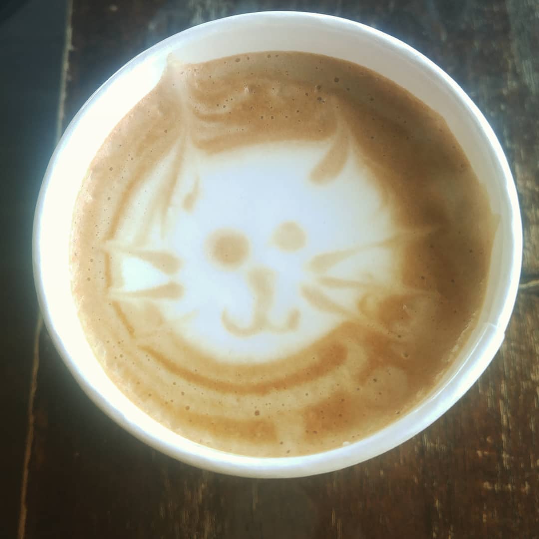 Sometimes a cute cat in your cup is exactly what you need to make it through Monday.

Photo by Meg, aka smallzooplankton on Instagram