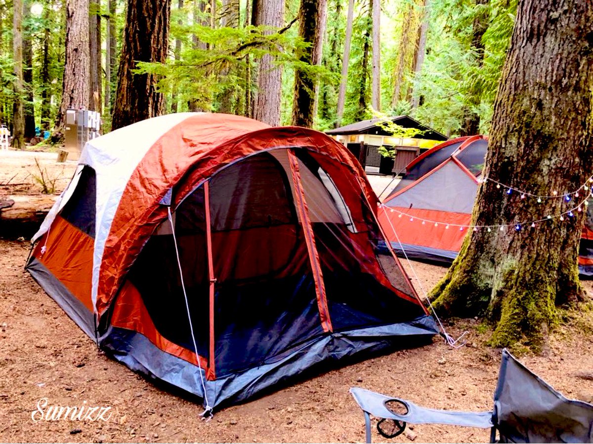 sumedha_91's tweet image. ~Camp, Explore, Dream , Discover🏕 🌳✨🌺
#Missingcamping #campingworld #WildNOut #naturelovers #nature #NaturePhotography #Camping #trees #mountains #nationalparks #lakechelan #travel #FolloMe #like #explore #travelphotography