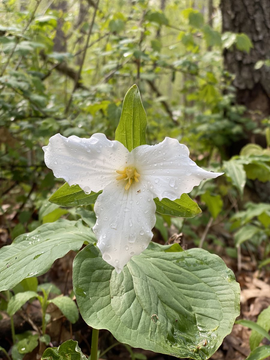 Kendal Cowgill tweet media