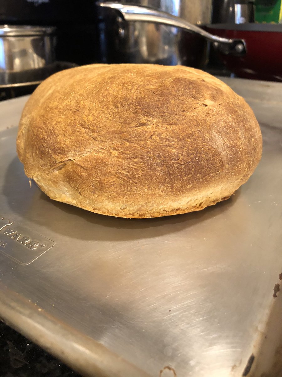 Hypertonic Saline, DVM tweet media