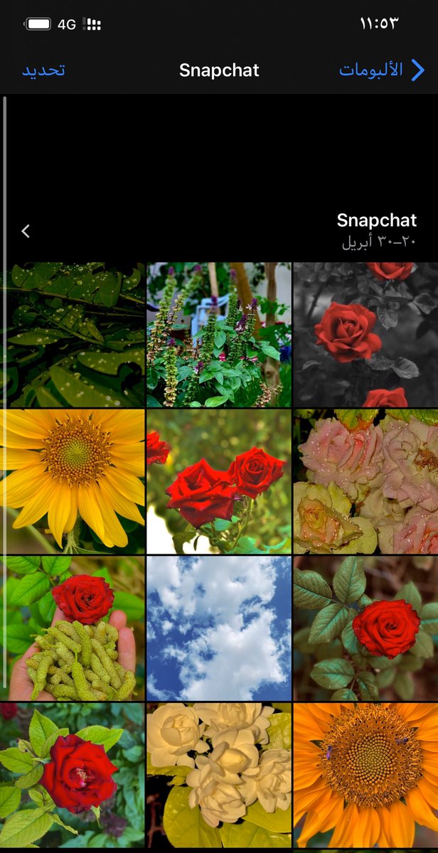 Abdullah_20303's tweet photo. تصويري ازين من تصويرها #مرزوقه https://t.co/ZL9DgkpnIF