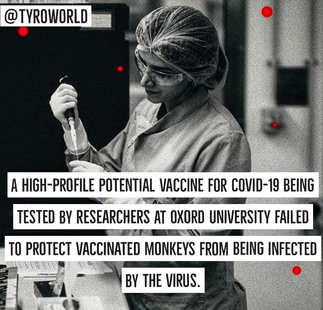 Tyroworld's tweet photo. A high-profile potential #vaccine for #covid19 being tested by #researchers. 
@Tyroworld 
_
_ #tyro #tyroworld #india #media #enews #indianews #news #latestupdates #latestnews #tyro #tyroworld https://t.co/Z9UrZjT4bJ