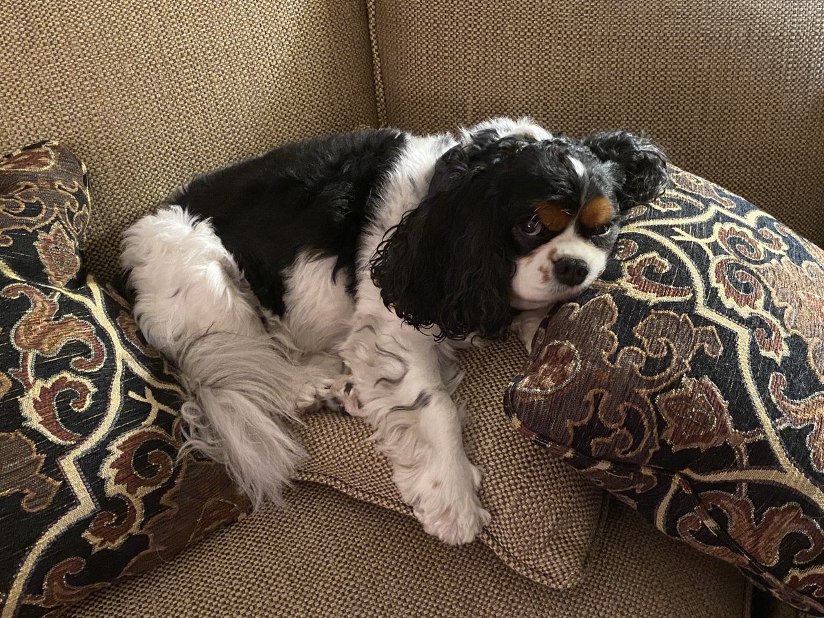 Maggie Stressing out@over her move from Savannah to Akron.