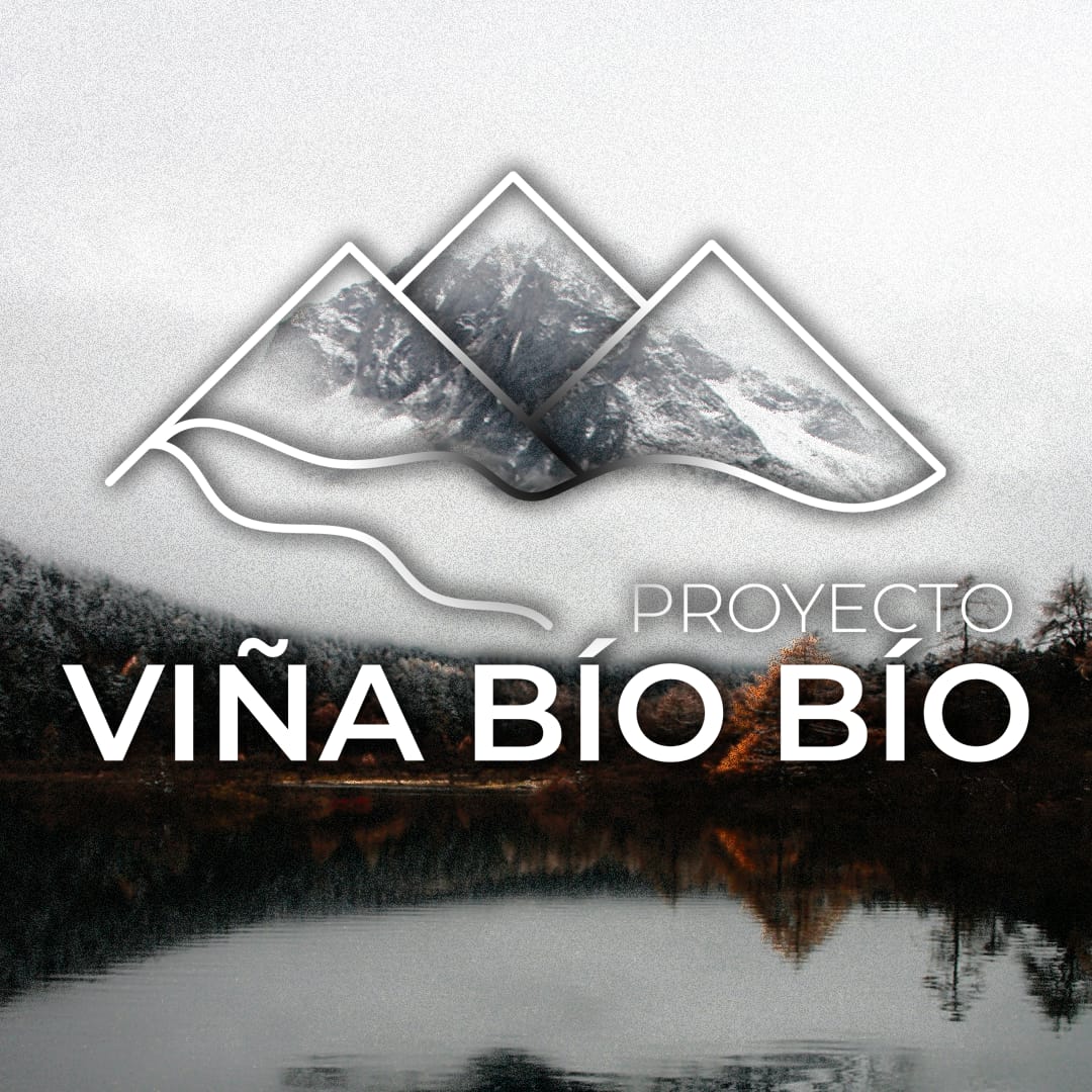BiobioVina's tweet photo. #NuevaFotoDePerfil https://t.co/u3Rc72yd53