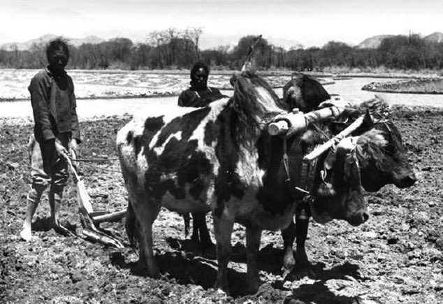 1】Today, Pompeo tweet use Tibet to blame China.In response, I tell you what real Tibet looks like under the rule of Dalai Lama.Destroyed Buddhist writings,Enjoying many mistresses,Sexual abuse of children,Mutilation, eye gouging, pulling out of tongues...Let me tell more.