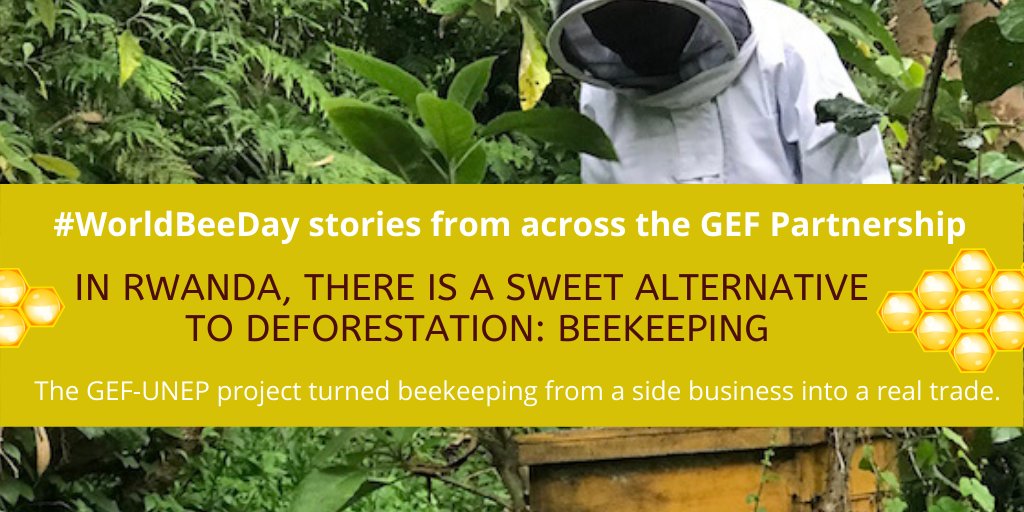 theGEF's tweet photo. More and more people are joining cooperatives in Rwanda to learn how to manage and care for bees. 

A @theGEF-backed @UNEP project funds honey collection centers to boost honey production and ease the collection process. 

Read now for #WorldBeeDay: https://t.co/8jlVlusVt8 https://t.co/Zj3HeZeN6I