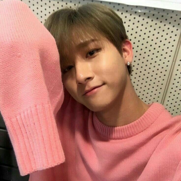 ѕнowĸι loveѕ yoυ • 🐹🐻 tweet media