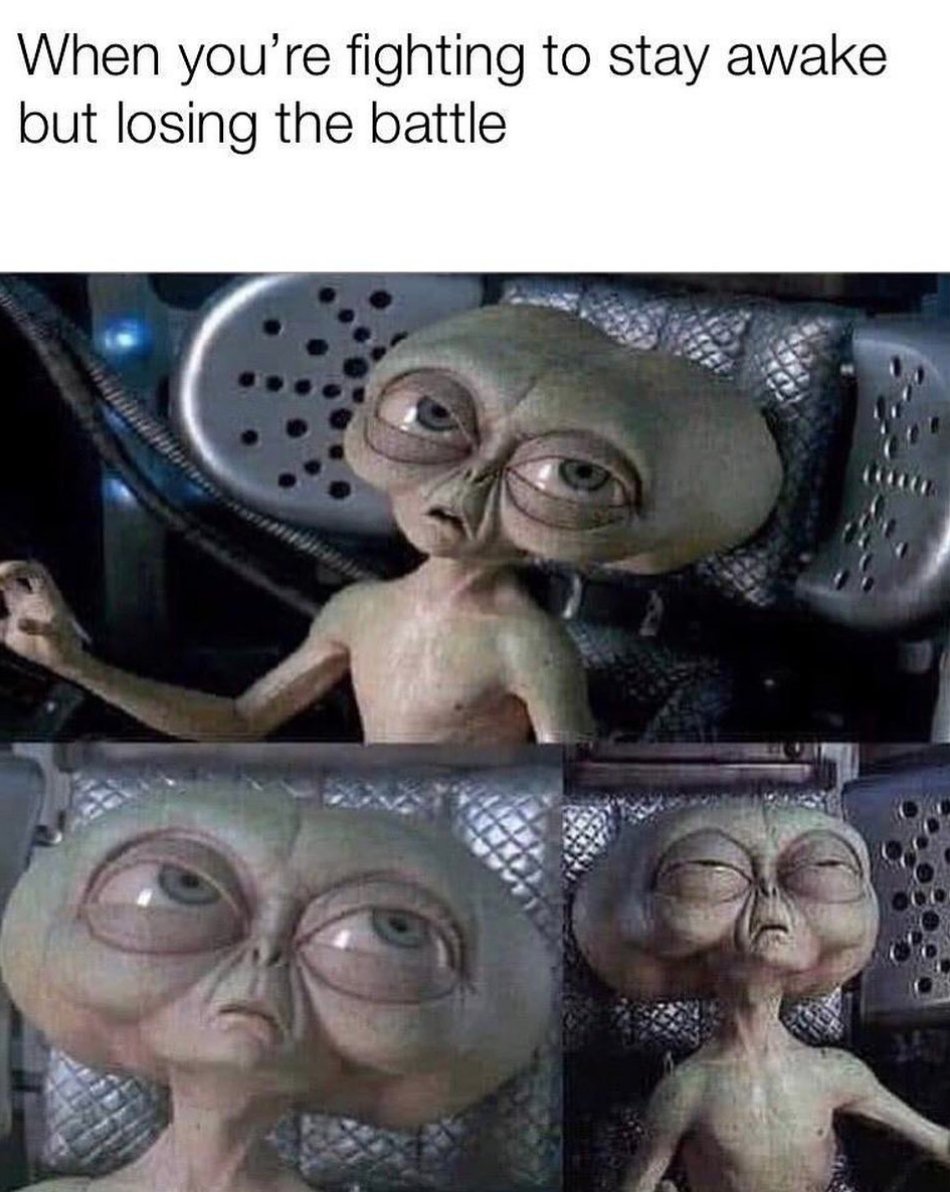 MensHumor's tweet photo. Every night. https://t.co/RwurQdTju3