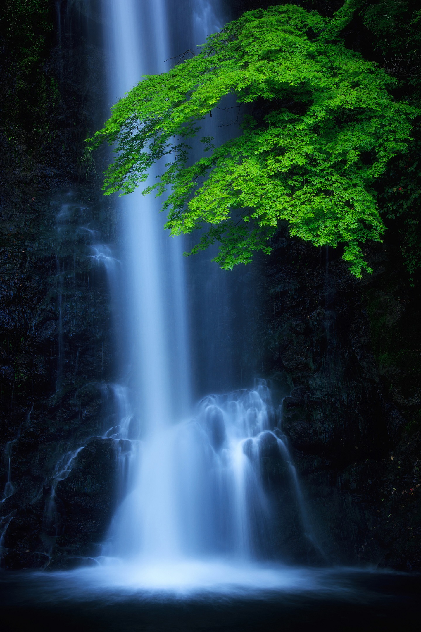 日本の絶景風景写真 Pashadelic Twitterissa Cocoro K2さんの作品です 縦写真 撮影場所 使用機材などはこちら T Co Zcb6kb7wzr Pashadelic 絶景delic 日本の絶景 箕面の滝 大阪 Photooftheday Landscape T Co Mrq7yili8k Twitter