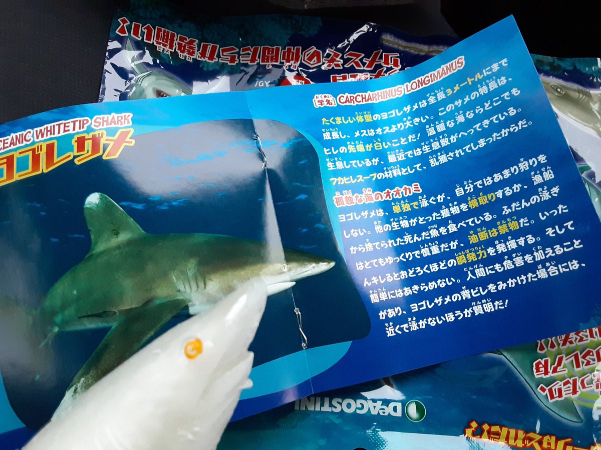Sakana 令和3年 魚 魿和3年 全16種類 中にはやわらかサメフィギュアと小図鑑がはいっているぞ 光るヨゴレザメ レア Get Sakana 令和3年 魚 魿和3年 全16種類 中にはやわらかサメフィギュアと小図鑑がはいっているぞ 光るヨゴレザメ レア Get