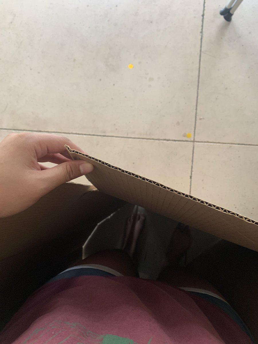 alaiseaa's tweet photo. like this tweet if u think me and mara should play survivor in the backyard for the remainder of quarantine using only this cardboard box for shelter #lonesurvivor #whowillwin #casturvote #survivorewabeach https://t.co/MvMA2WEc7x