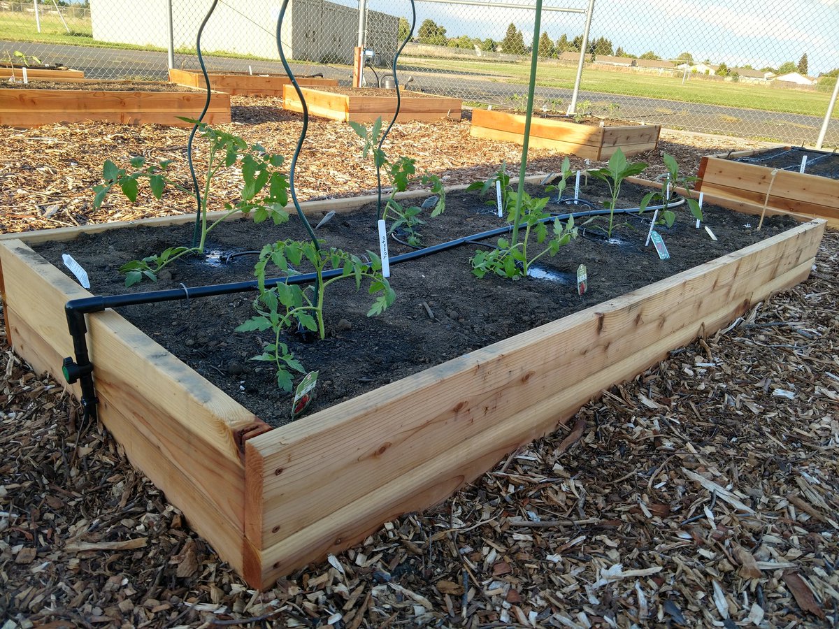 EHMSGarden's tweet photo. Plants
#TeacherDrivenChange #CTAIFT #WeAreCTA #EGEALeadership https://t.co/adbfFoPJBG