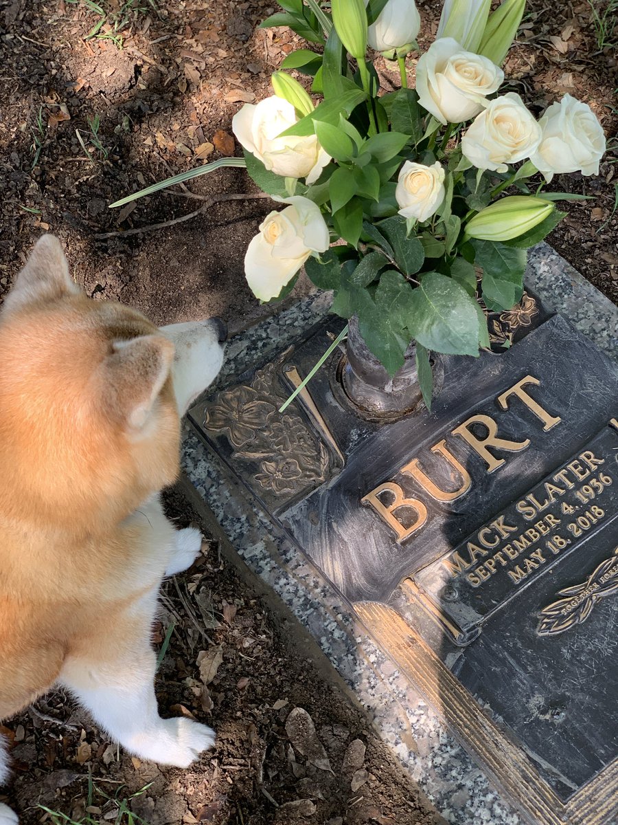 k2FlT's tweet photo. @Michael28Pugh https://t.co/OMH8G4pJTd