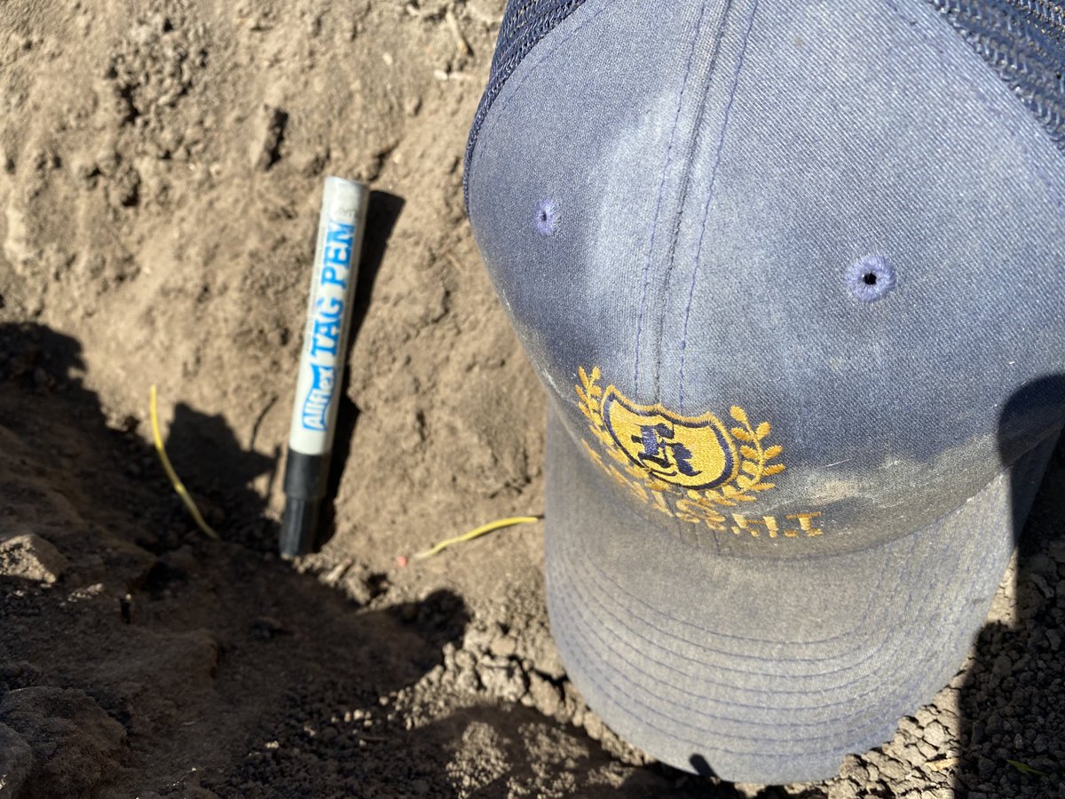 Lots of fantastic stories coming from NSW and surrounding districts, which is great to see, but it’s not all beer and skittles north of the border for large areas. #wellgetintochinathehardway