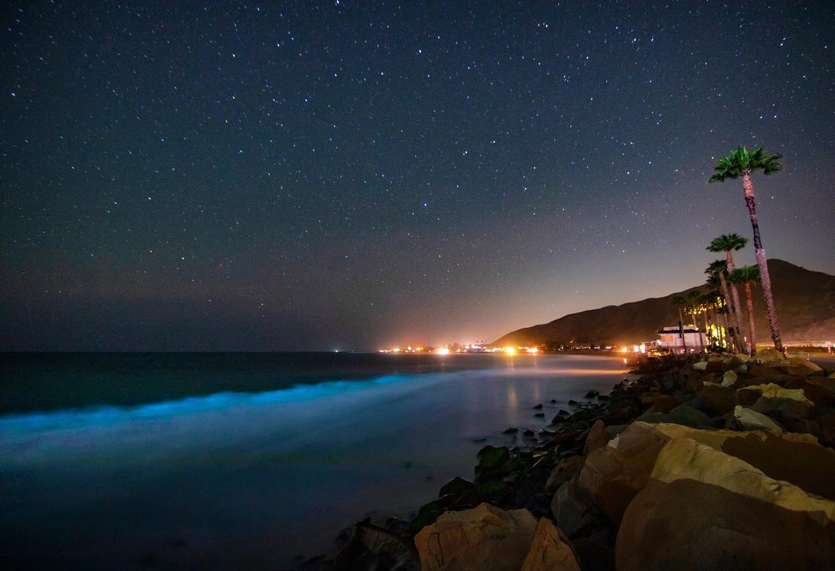 VisitVentura's tweet photo. Night waves, starry skies ✨💙 

📷https://t.co/8TkAooJLEm https://t.co/K42NDZ5Jk2