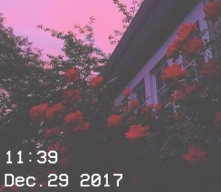 Roses are red💕
Violets are blue✨💙
Aesthetic is the best😄💅
And you will now go rest💆💚