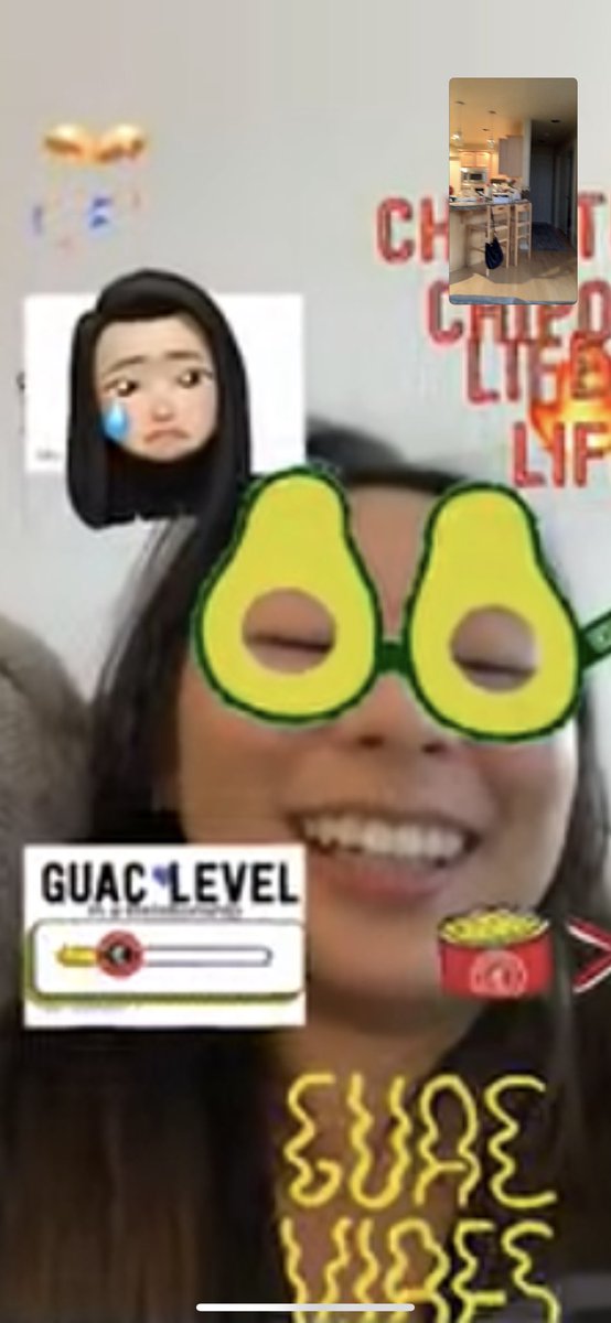 Sarahmichellle's tweet photo. How FaceTime on day 3759602 of quarantine looks https://t.co/ohmYGlxnu9
