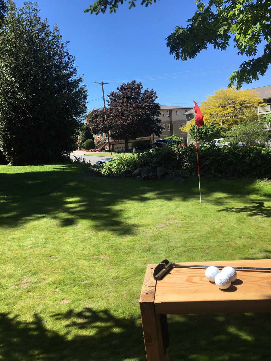 hooksie6's tweet photo. Still patchy but coming in nicely! Hope everyone had a good Monday. ⛳️ @paceturf @FriedEggsGolf #backyardgreen https://t.co/VJC3EBz1YU