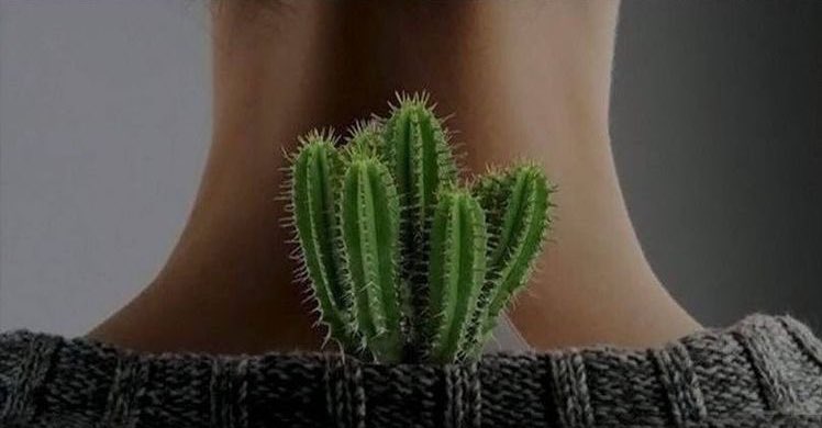 โคตรจะจริง อีป้ายยี่ห้อเนี่ยภัยร้ายชั้นมาก โดยเฉพาะป้ายด้านหลังนะ นางชอบบาดหลังชั้นตลอด 5555555555555555555555555555555555555555 จะร้อง