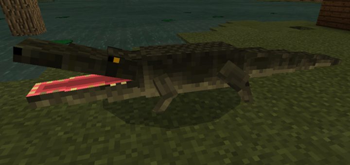 MCPEBeta_info's tweet photo. RETWEET if you'd like to see more wildlife in #Minecraft! https://t.co/4Pw85KTNxO