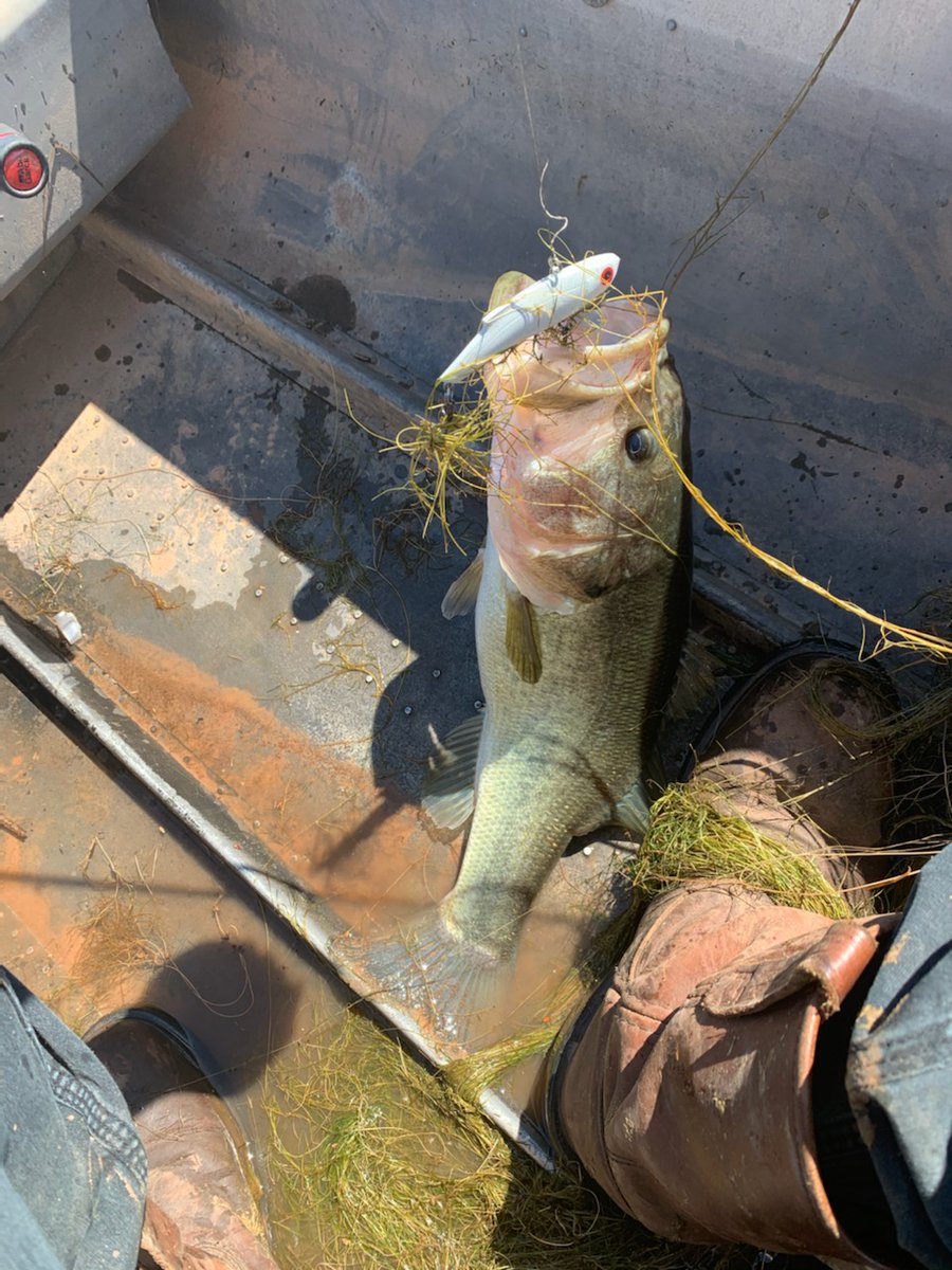 cryptocronic's tweet image. Caught on @JacksLures #fishing #jackslures #bass #bassfishing #outdoors #SocialDistancing