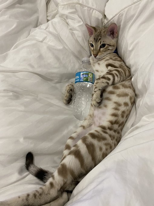 @drinkwaterho https://t.co/2311tuhC2g