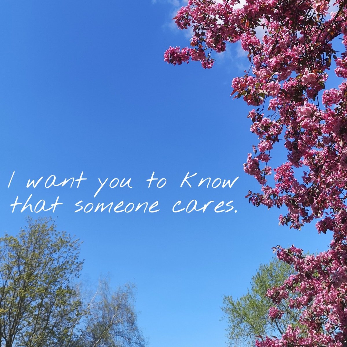 Sahar Omar (@saharhas) on Twitter photo 